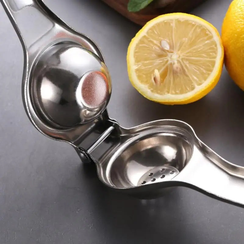 Stainless Steel Citrus Fruit Juicer-4