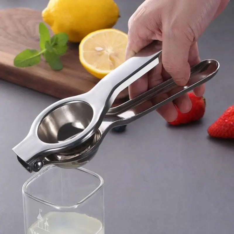 Stainless Steel Citrus Fruit Juicer-0