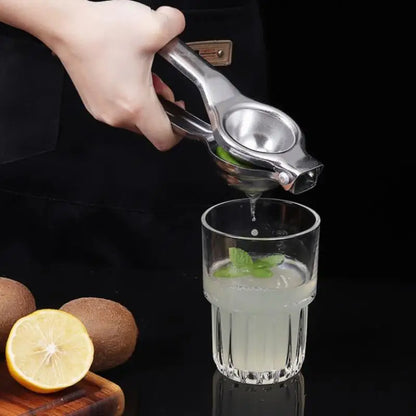Stainless Steel Citrus Fruit Juicer-1
