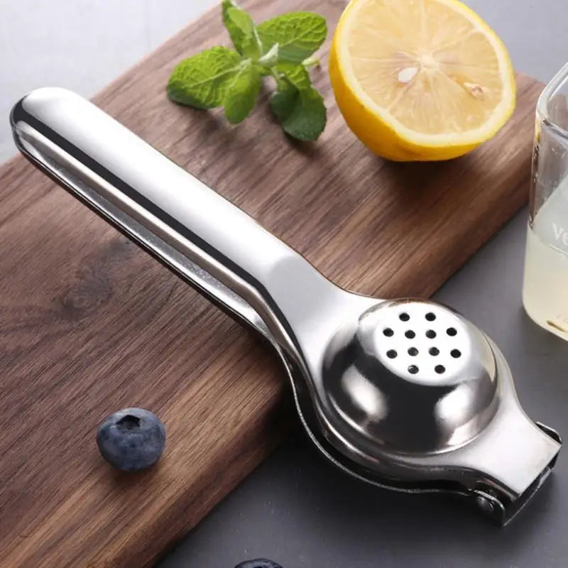 Stainless Steel Citrus Fruit Juicer-2