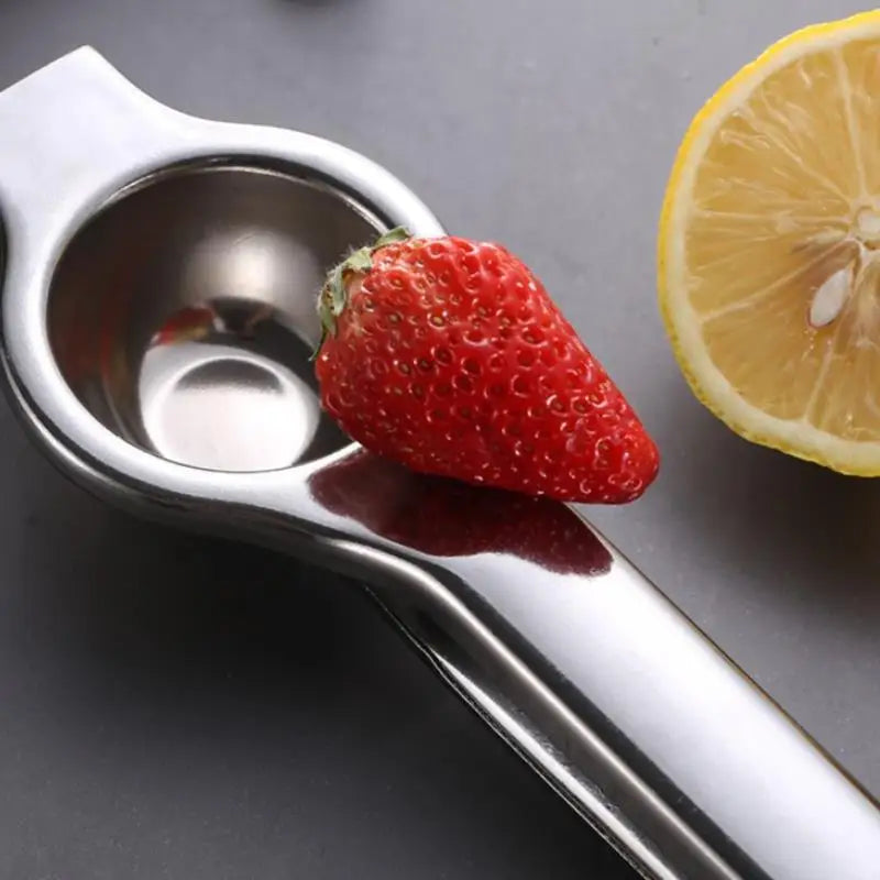 Stainless Steel Citrus Fruit Juicer-3