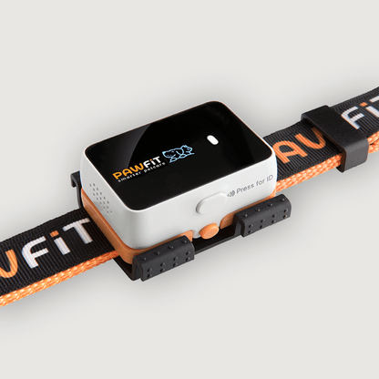 Pawfit 3 Tracker-2